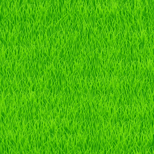 Grass pattern vector image