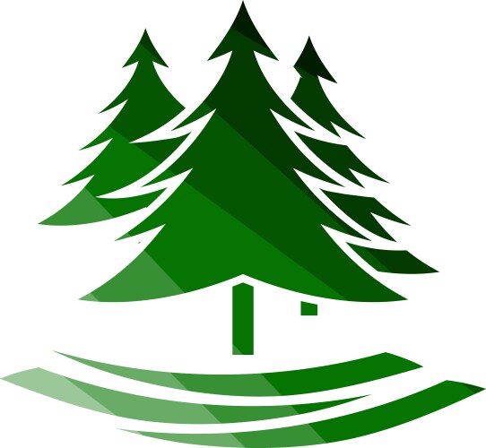 Fir forest icon vector image