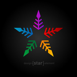 colorful star abstract design element on black vector image