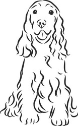 hand drawn english cocker spaniel sketch style vector image