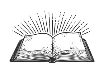 book and light rays sketch vector image