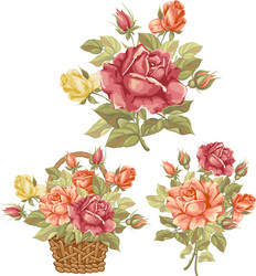 rose set vector image