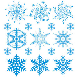 snowflakes collection vector image