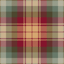 auld scotland tartan plaid pattern vector image