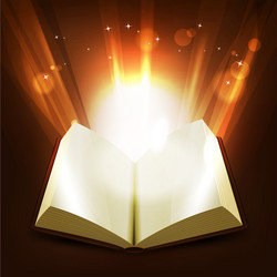 holy and magic book vector image