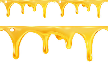 sweet honey drips seamless vector image