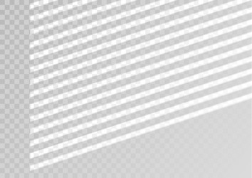 transparent overlay window and blinds shadow vector image