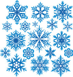 set of snowflakes vector image