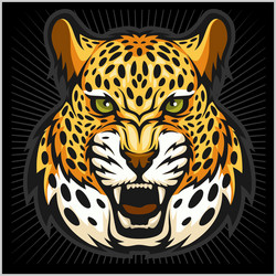 jaguar portrait jaguars head on black vector image