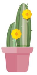 cactus in flowerpot succulent plant home vector image