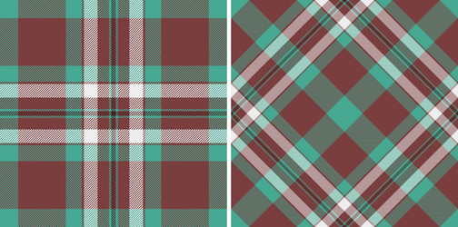 background pattern check of plaid fabric tartan vector image