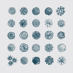 different plants and trees set for landscape vector image