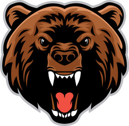 angry bear head vector image