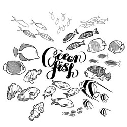 collection of ocean fish vector image