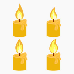 candle with fire animation vector image