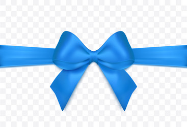 blue ribbon and bow isolated vector image