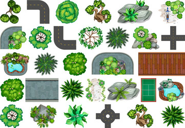 set plant for decoration vector image