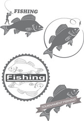 sea bass vector image