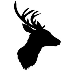 deer silhouette vector image