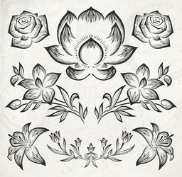 floral design elements vector image