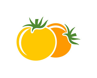 tomato vector image