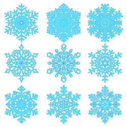 snowflakes collection isolated on light background vector image