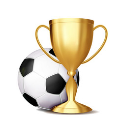 soccer award football ball golden cup vector image