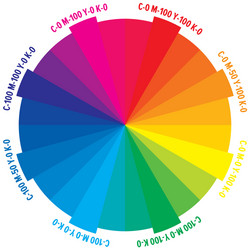 24 parts color wheel with numbers cmyk amount vector image