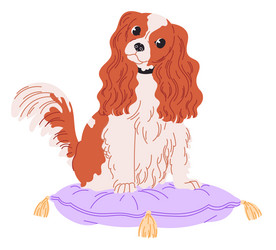 dog cavalier king charles spaniel sits on pillow vector image