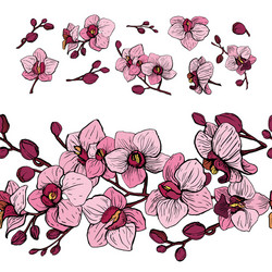 elements set of orchid vector image