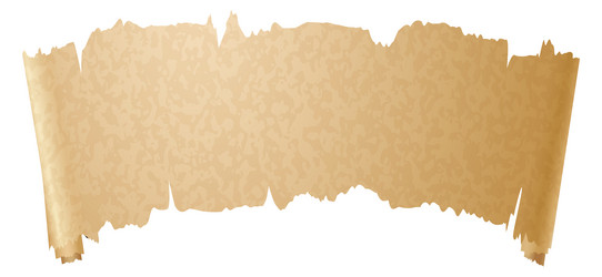 old parchment scroll blank brown paper banner vector image