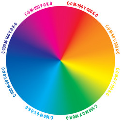 gradient color wheel with numbers cmyk amount vector image