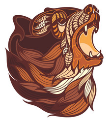 angry bear head in brown colors vector image