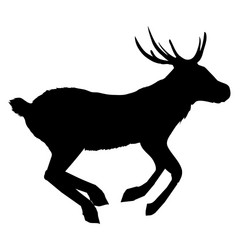 decoration elegance horned object shadow buck vector image