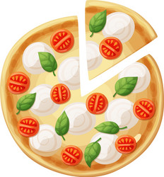 pizza top view cherry tomato mozzarella vector image