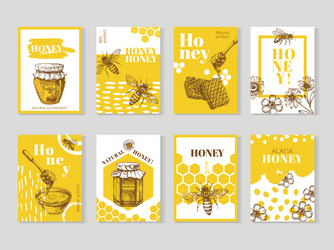 hand drawn honey posters natural packaging vector image