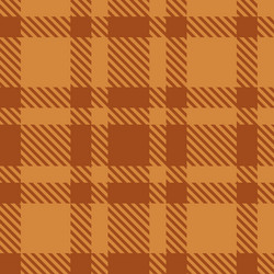 seamless pattern brown ohre tartan vector image