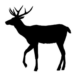 decoration elegance horned object shadow buck doe vector image