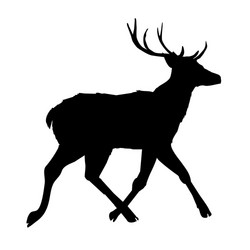 decoration elegance horned object shadow buck doe vector image