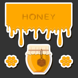 on theme sugary flowing down honey in honeycomb vector image