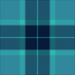 blue tartan plaid seamless pattern vector image