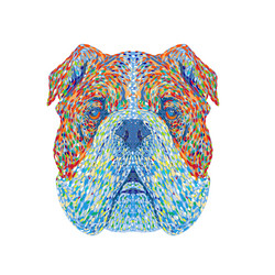 english bulldog or british head front vector image