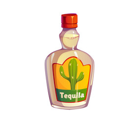 cartoon tequila bottle featuring a cactus on label vector image