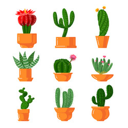 cacti and succulents icons set cute green cartoon vector image