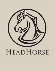 head horse logo vector image