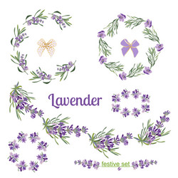 set festive frames and elements with lavender vector image