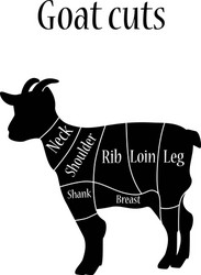 butcher chart vector image