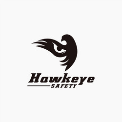 eye and flying hawk logo icon template vector image