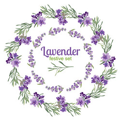 set festive frames and elements with lavender vector image