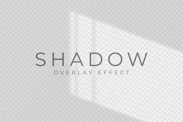 shadow overlay effect transparent soft light vector image